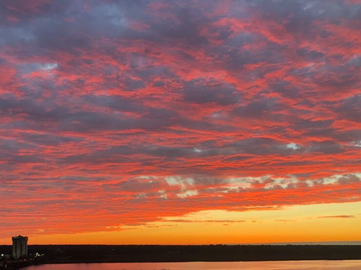 Charleston: Harbor Bar Pedal Boat Party Cruise - Experience