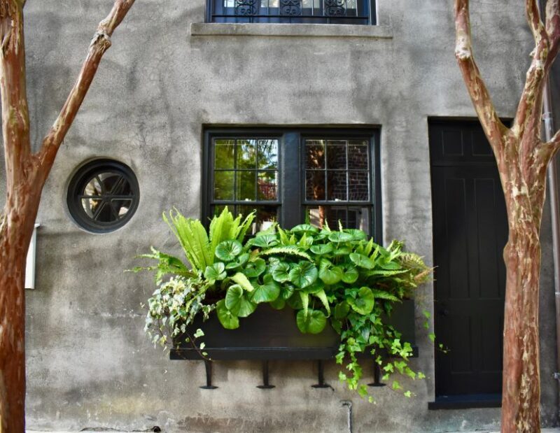 Charleston: Hidden Alleys and Historic Sites Walking Tour - Introduction to the Tour