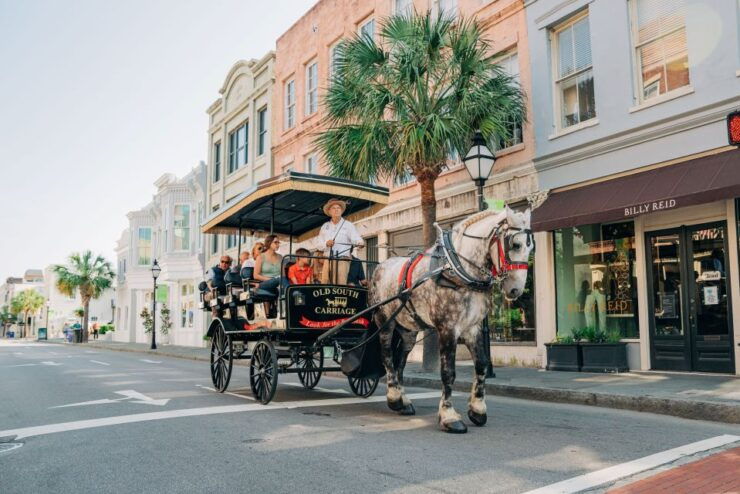 Charleston: Historical Downtown Tour by Horse-drawn Carriage - Tour Overview