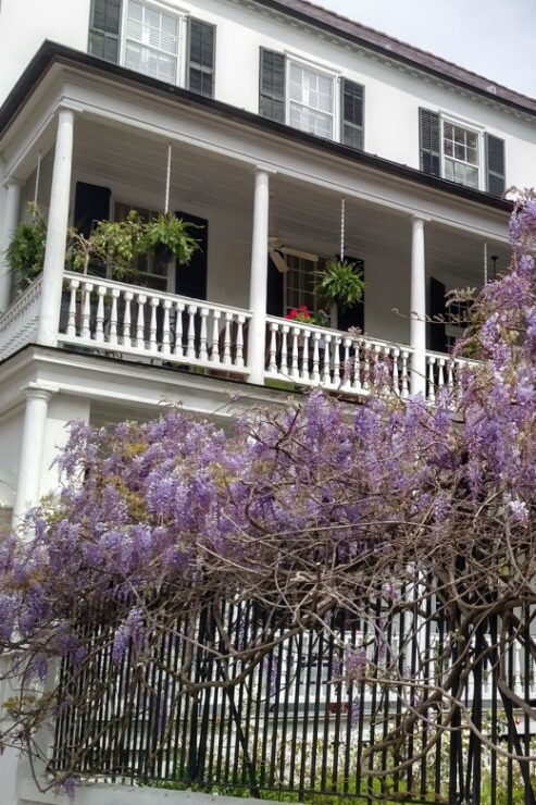 Charleston: Historical Walking Tour With Storytelling - Tour Description and Highlights