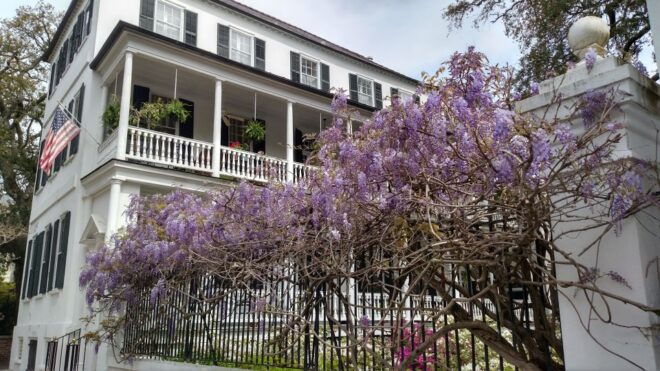 Charleston: Historical Walking Tour With Storytelling - Accessibility and Inclusions