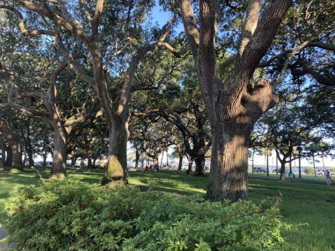 Charleston: Historical Walking Tour With Storytelling - Pricing and Important Info