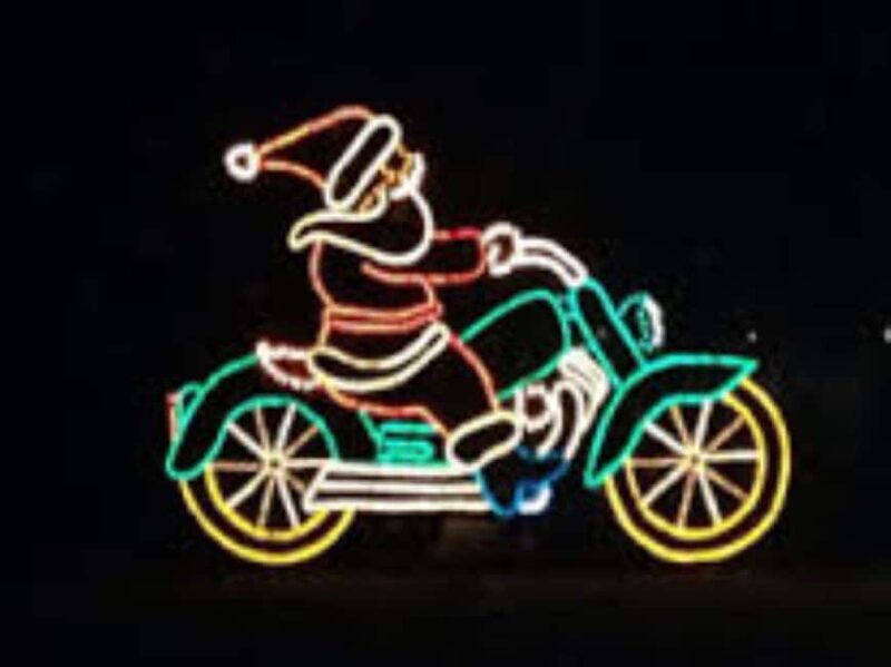 Charleston: Holiday Festival of Lights Tour with S'mores Kit - Good To Know