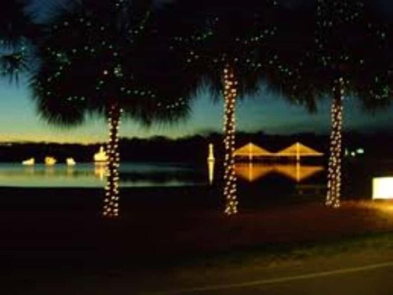 Charleston: Holiday Festival of Lights Tour with S'mores Kit - A Bright and Cozy Family Affair in Charleston