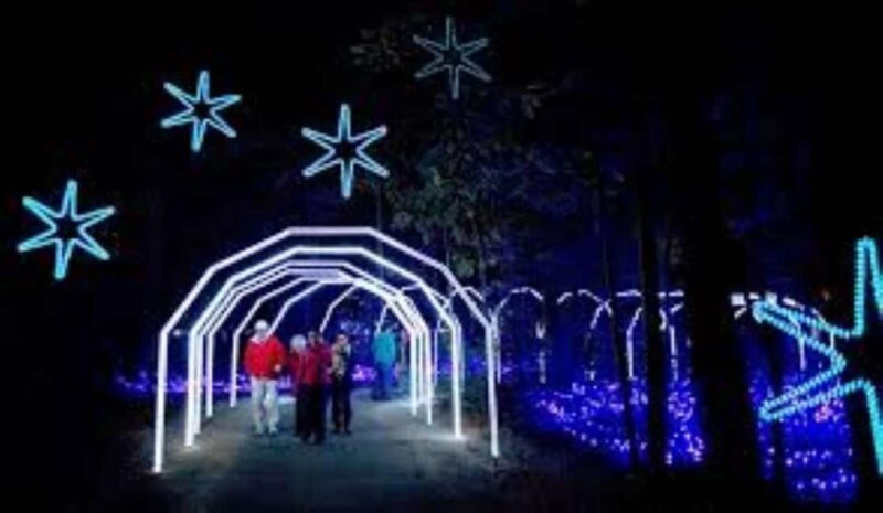 Charleston: Holiday Festival of Lights Tour with S'mores Kit - Final Thoughts