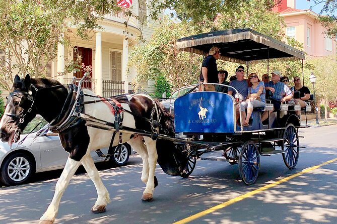 Charleston Horse & Carriage Historic Sightseeing Tour - Tour Details