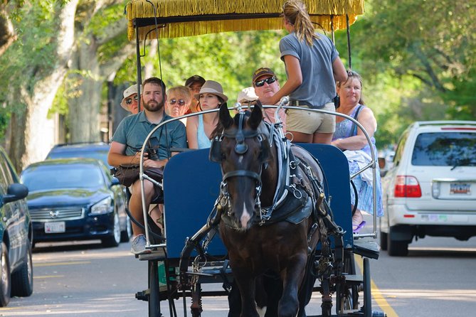 Charleston Horse & Carriage Historic Sightseeing Tour - Cancellation Policy