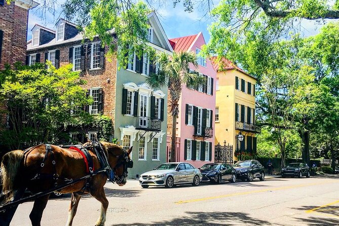 Charleston Horse & Carriage Historic Sightseeing Tour - Traveler Photos