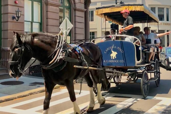 Charleston Horse & Carriage Historic Sightseeing Tour - Common Questions