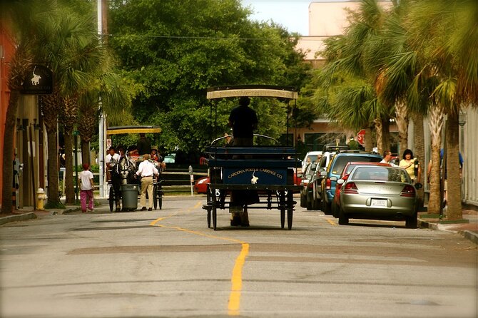 Charleston Horse & Carriage Historic Sightseeing Tour - The Sum Up