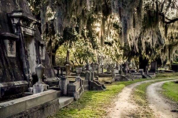 Charleston: Magnolia Cemetery Nighttime Tour - Customer Reviews and Ratings