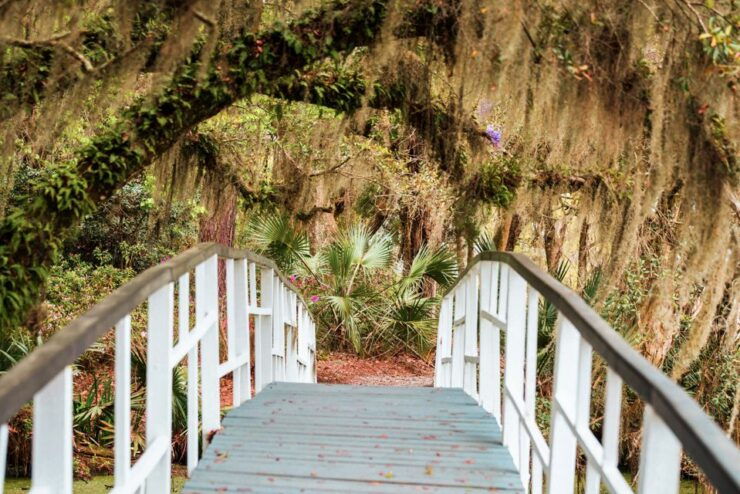 Charleston: Magnolia Plantation Entry & Tour With Transport - Tour Details
