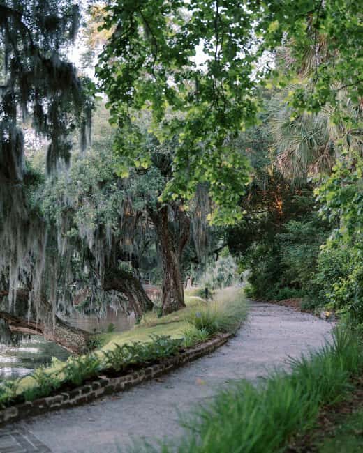 Charleston: Magnolia Plantation & Gardens Guided Tour - Good To Know