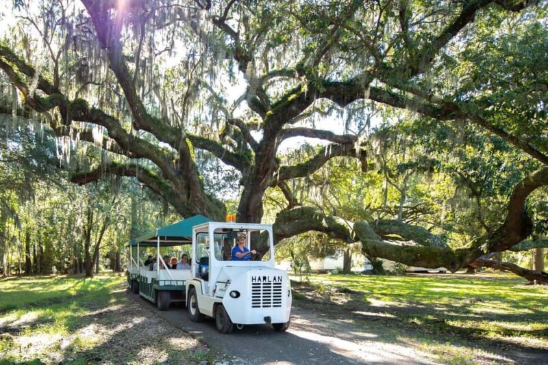 Charleston: Magnolia Plantation & Gardens Guided Tour - Final Thoughts