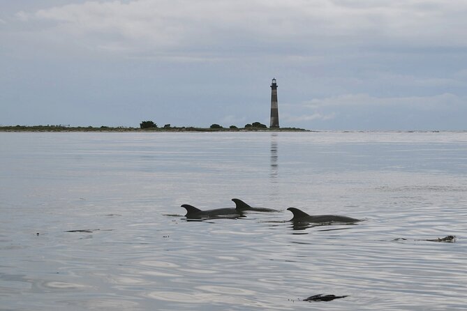 Charleston Marsh Eco Boat Cruise With Stop at Morris Island Lighthouse - What To Expect