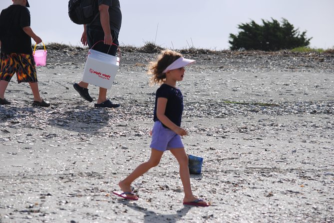 Charleston Marsh Eco Boat Cruise With Stop at Morris Island Lighthouse - Overall Recommendation