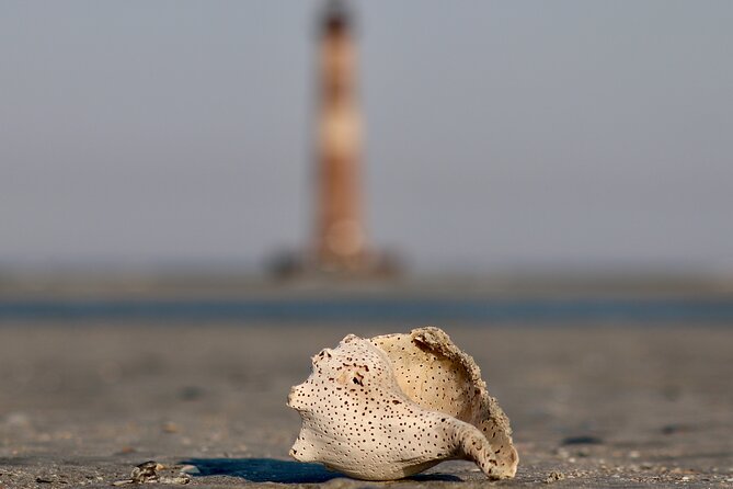 Charleston Marsh Eco Boat Cruise With Stop at Morris Island Lighthouse - The Sum Up