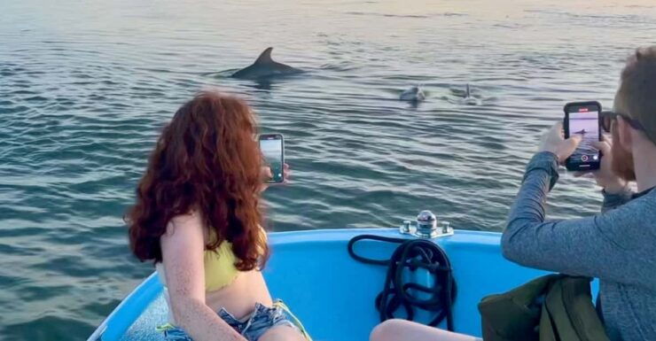 Charleston: Morris Island Dolphin Cruise With Beachcombing - Good To Know