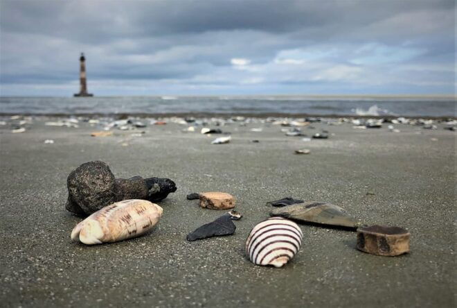 Charleston: Morris Island Dolphin Cruise With Beachcombing - Starting Location and Duration