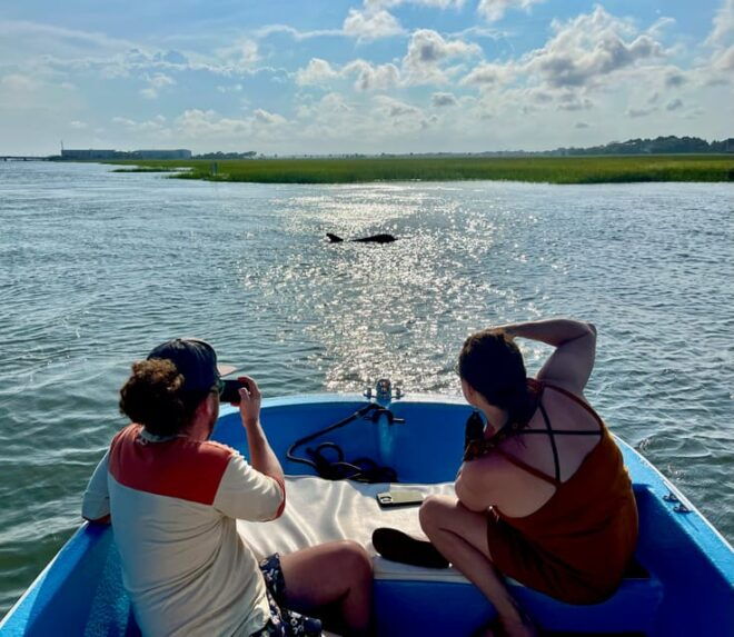 Charleston: Morris Island Dolphin Cruise With Beachcombing - Beachcombing and Wildlife Viewing