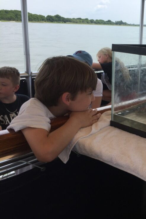 Charleston: Morris Island Nature Boat Tour With Naturalist - Tour Overview