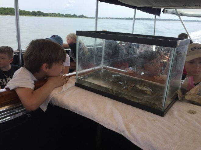 Charleston: Morris Island Nature Boat Tour With Naturalist - Meeting Point Details