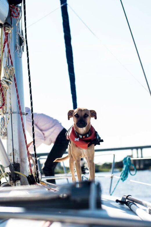 Charleston: Private BYOB Luxury Yacht Cruise - What to Expect from Your 2.5-Hour Voyage