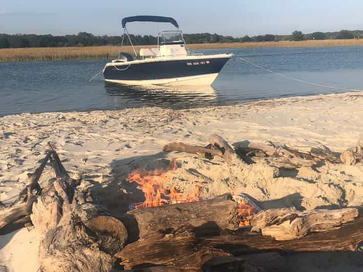 Charleston: Private Sightseeing & Dolphin Watching Boat Tour - Experience Highlights