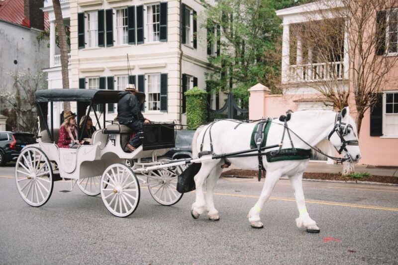 Charleston, SC: Private Daytime Horse-Drawn Carriage Ride - Good To Know