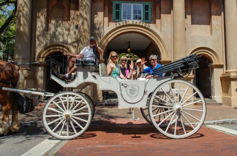 Charleston, SC: Private Daytime Horse-Drawn Carriage Ride - The Sum Up