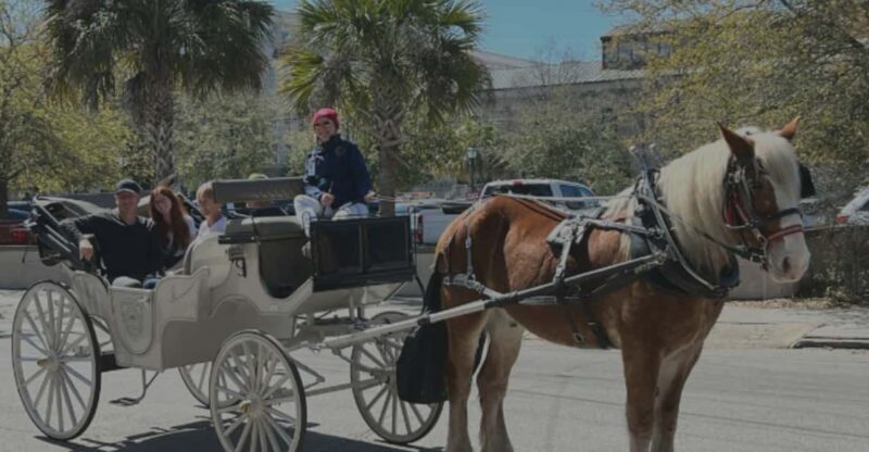 Charleston, SC: Private Evening Horse & Carriage Tour - The Value of This Experience