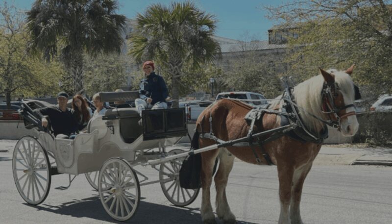 Charleston, SC: Private Evening Horse & Carriage Tour - The Sum Up