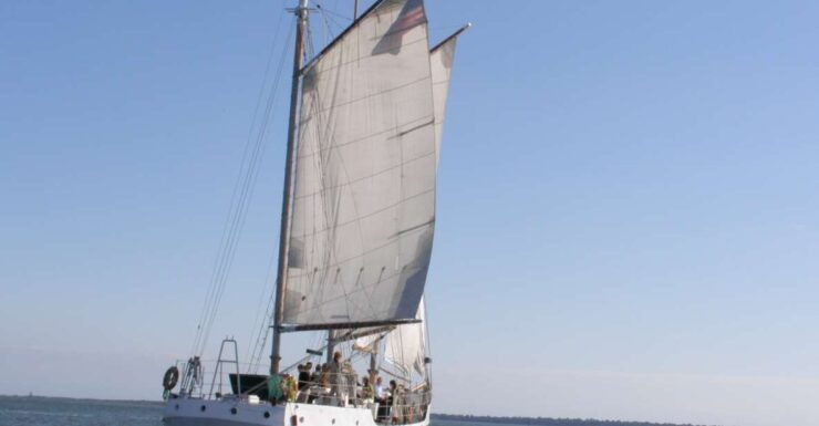 Charleston: Schooner Sailing Harbor Tour & Dolphin Watch - Activity Information