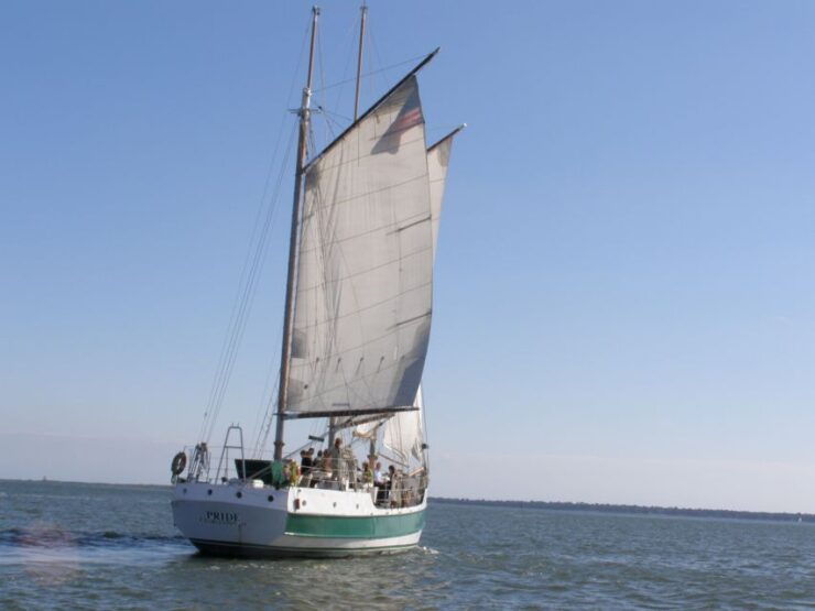 Charleston: Schooner Sailing Harbor Tour & Dolphin Watch - Experience Highlights
