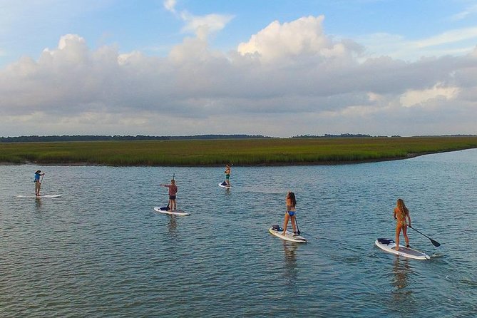 Charleston Stand-Up Paddleboard Eco Tour - Meeting Point and End Point