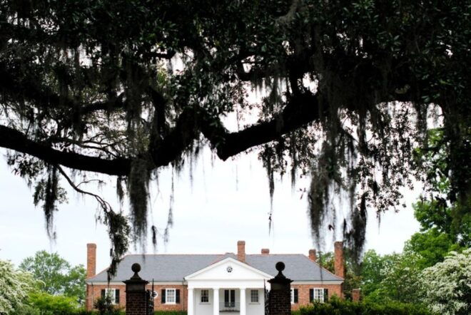 Charleston Style VIP Tour - Activity Details