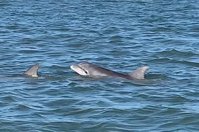 Charleston Sunset and Dolphin Private Cruise - Common Questions