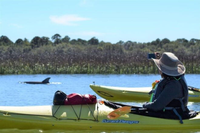 Charleston: Tandem or Single Kayak Tour With a Guide - Booking Information