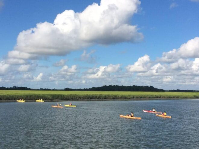 Charleston: Tandem or Single Kayak Tour With a Guide - Important Guidelines