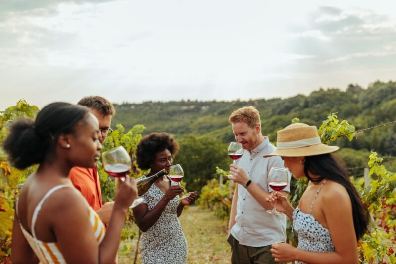Charleston: Wadmalaw Island Wine Tasting and Tea Garden Trip - An Overview of the Tour Experience