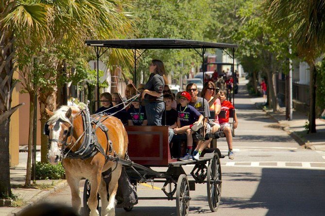 Charlestons Historic Residential Horse and Carriage Tour - Tour Overview and Highlights