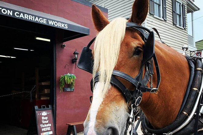 Charlestons Historic Residential Horse and Carriage Tour - Additional Information and Booking Details