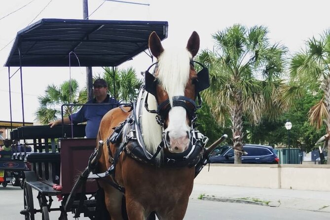 Charlestons Historic Residential Horse and Carriage Tour - The Sum Up
