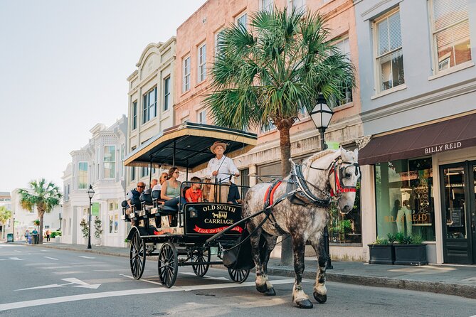 Charleston's Old South Carriage Historic Horse & Carriage Tour - Appreciation for Guides and Horses