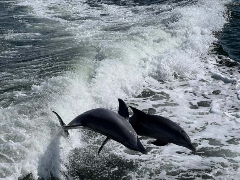 Charlotte Harbor: "The Oasis" Tiki Boat Sunset Cruise - Who Will Love This Experience?