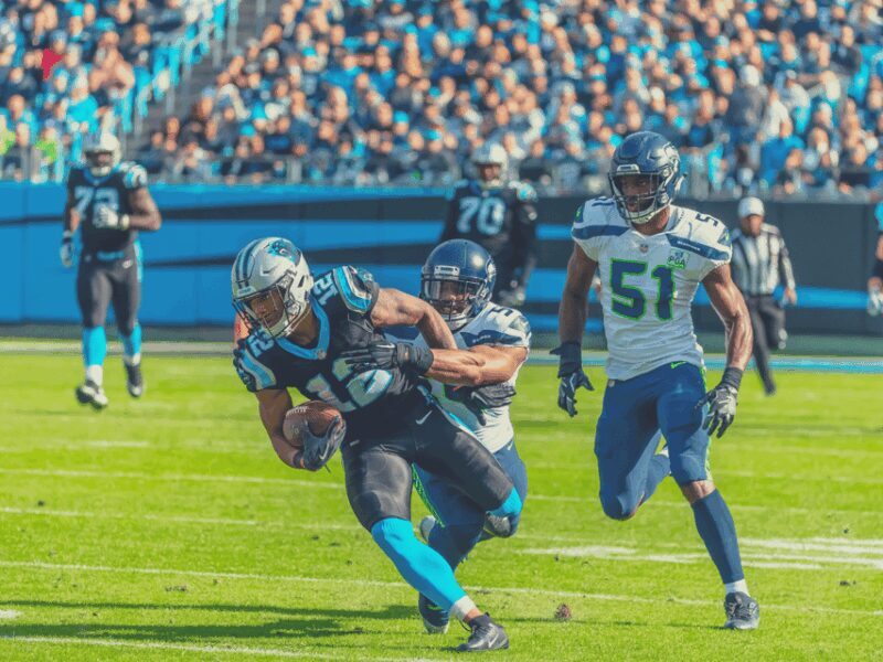 Charlotte: Panthers Football Game at Bank of America Stadium - Who Should Consider This Experience?