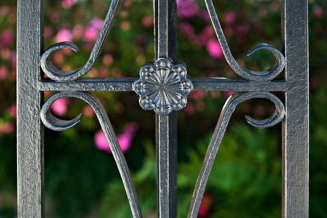 Charm of Charleston - Walk Through Time with a Charleston Native - The Sum Up