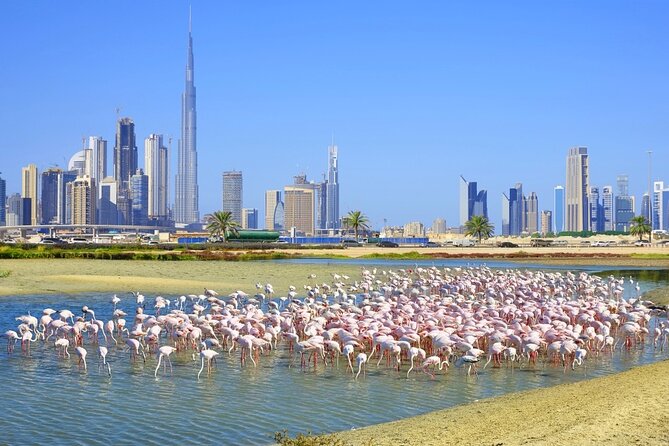 Charming Dubai City Tour With the View at the Palm - Scenic Tourist Attraction - Scenic Attractions
