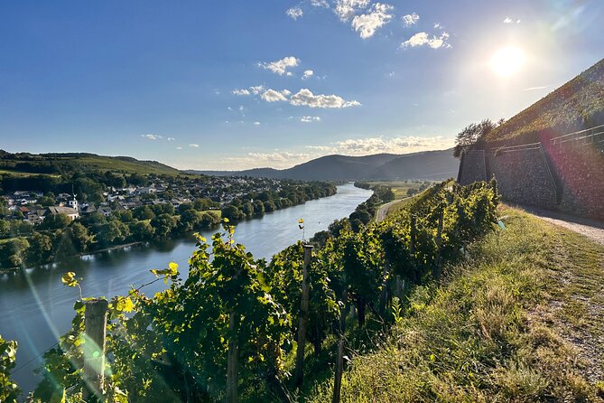 Charming Rhein Castle Visit & Tasting Wine Along the Rhein - Common Questions