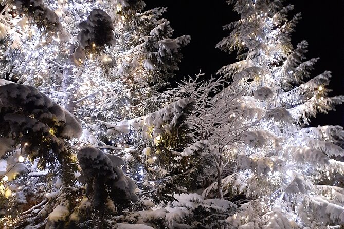 Charming Romantic VIP Tokyo Experience - Additional Information